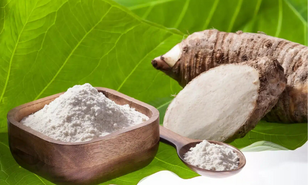 Arrow Root Powder
